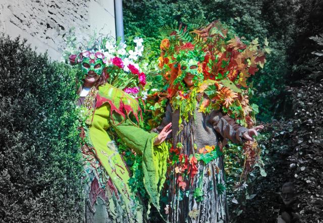 LES PERCHIS-PERCHAS, échassiers de la nature